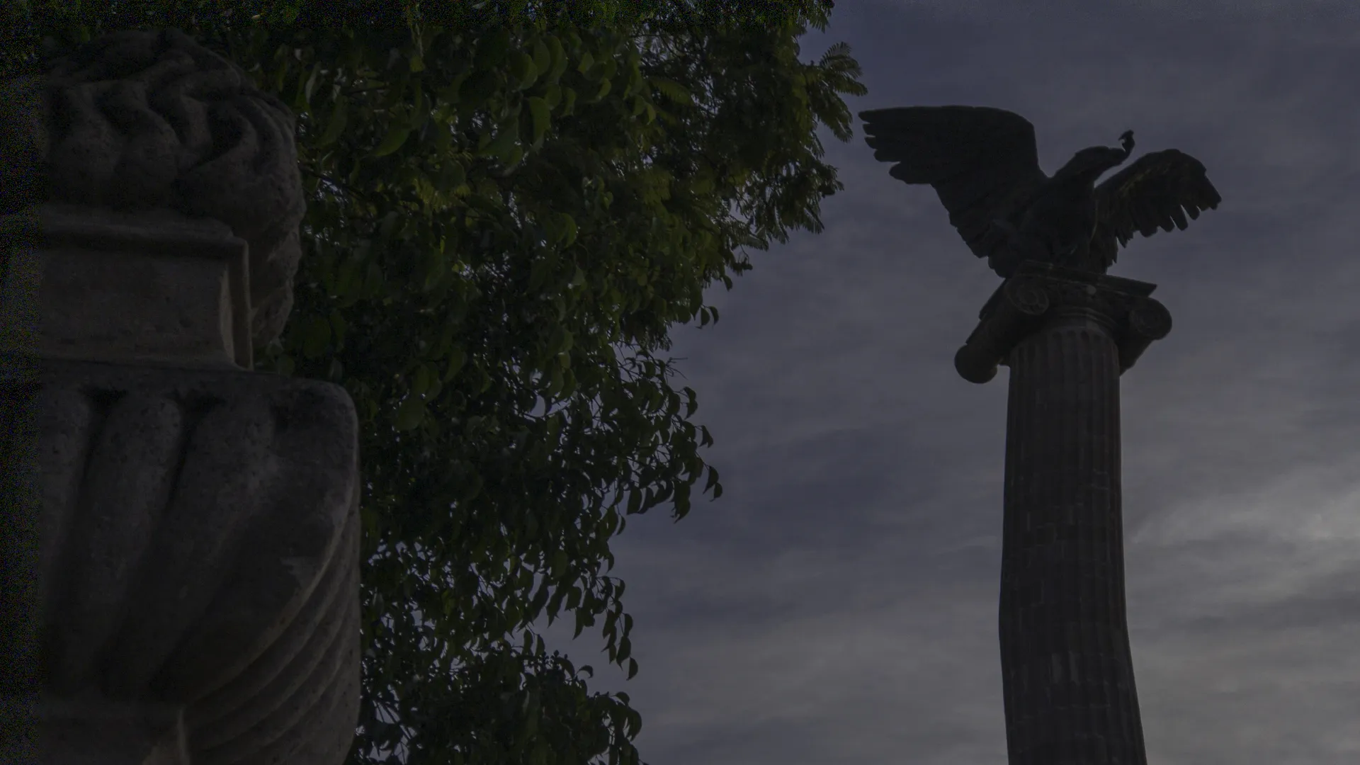 Viva Villa Productions | Fast Creative Visual Solutions